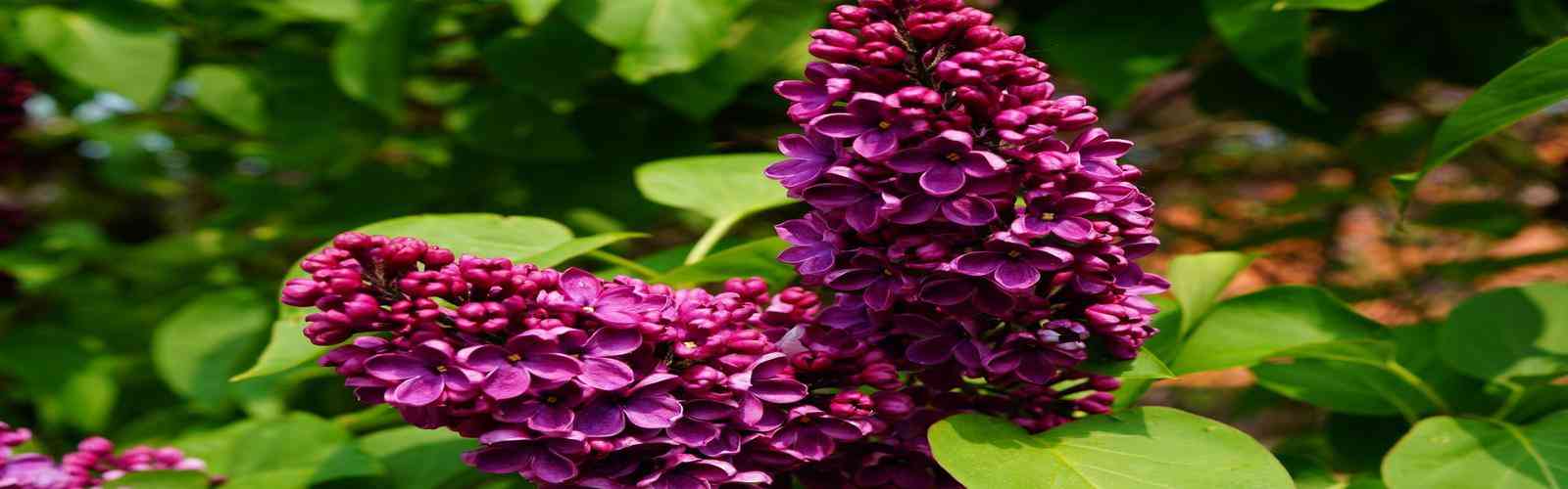 PG免费送2000试玩金